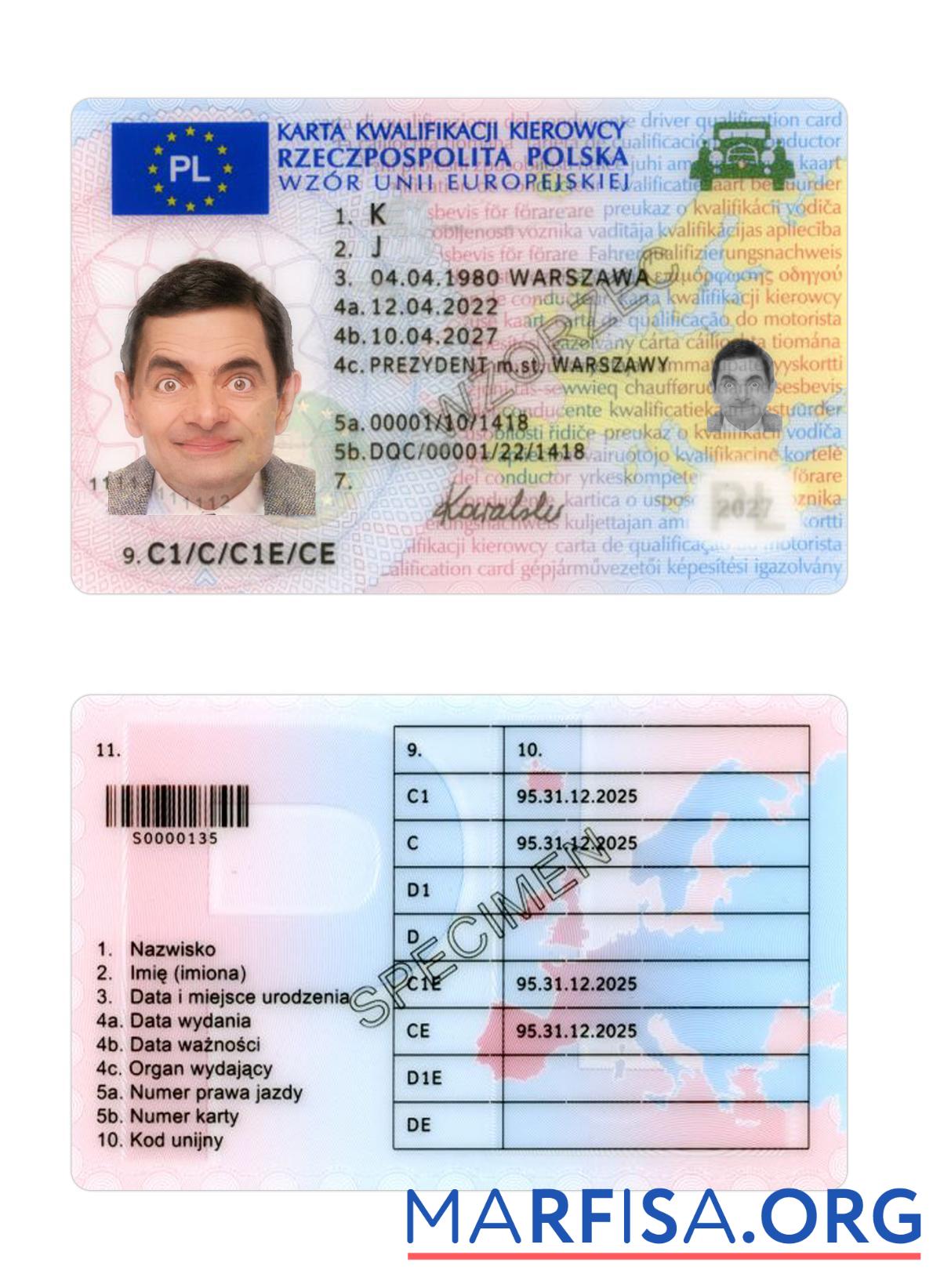 Printable Poland driving license 2022 present example